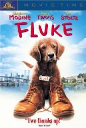 Fluke (1995) poster